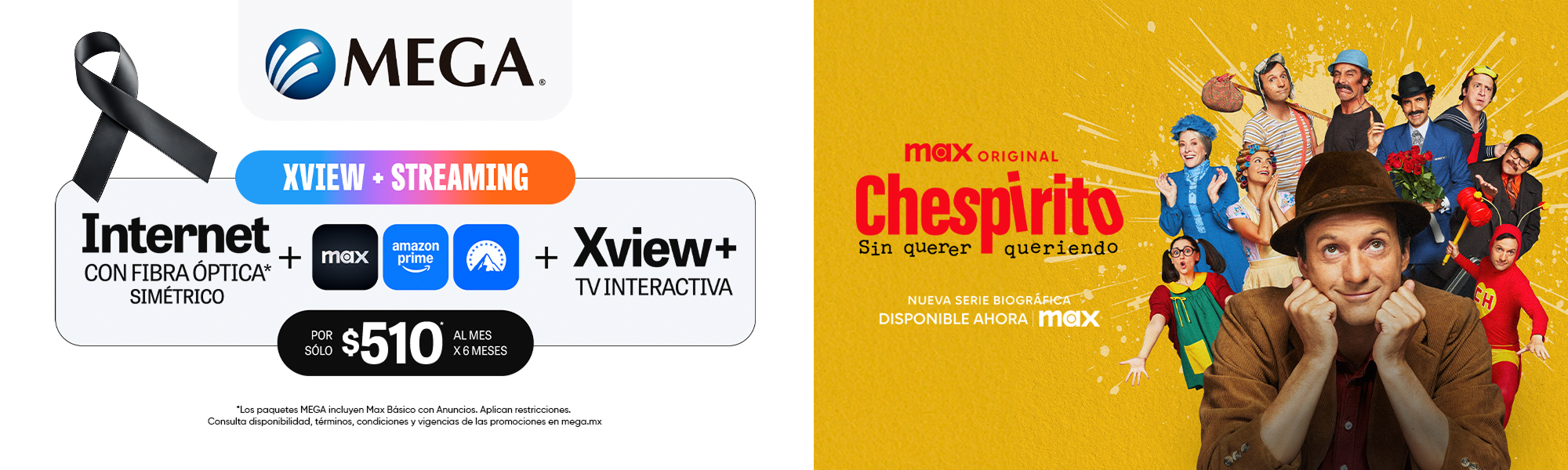 EXP_FIBRA_SIMETRIA_XVIEW+_MAX