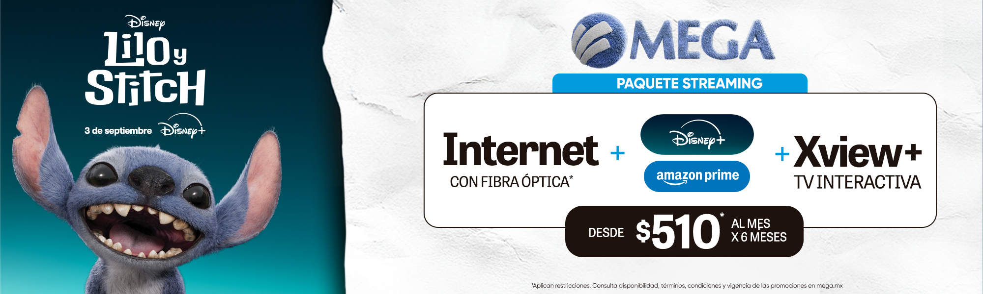 EXP_FIBRA_SIMETRIA_XVIEW+_DISNEY
