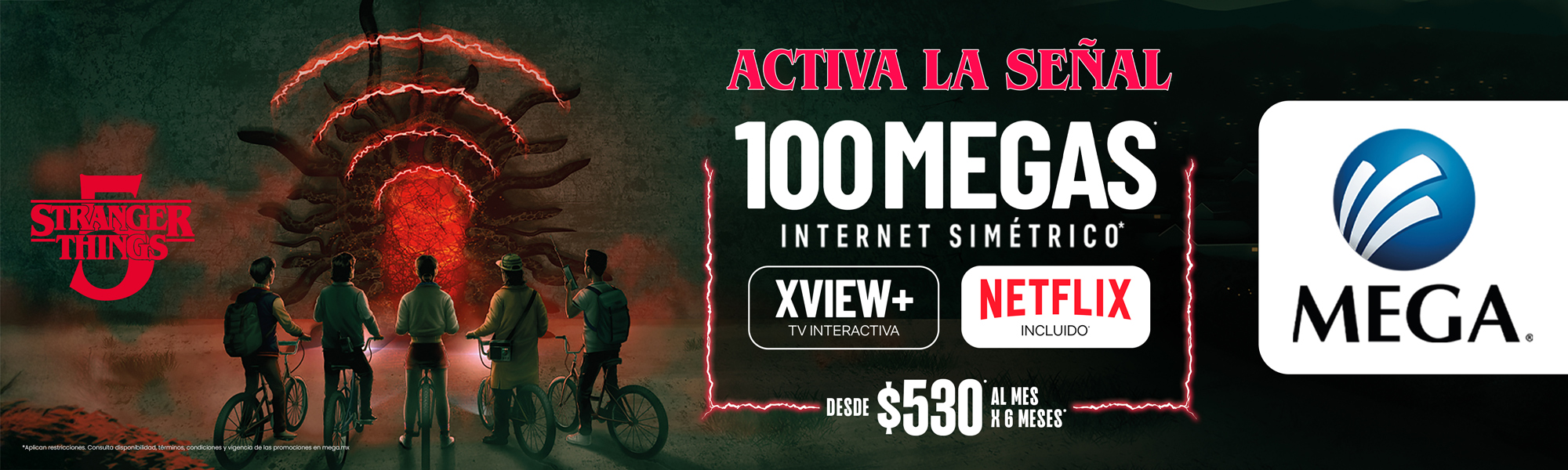 EXP_FIBRA_SIMETRIA_XVIEW+_NETLIX -530