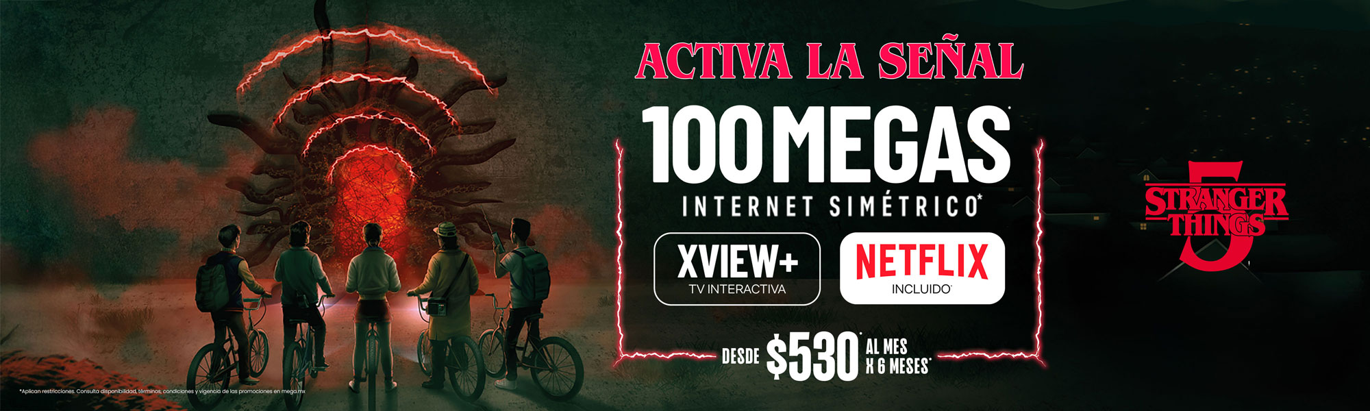 EXP_FIBRA_SIMETRIA_XVIEW+_NETLIX -530