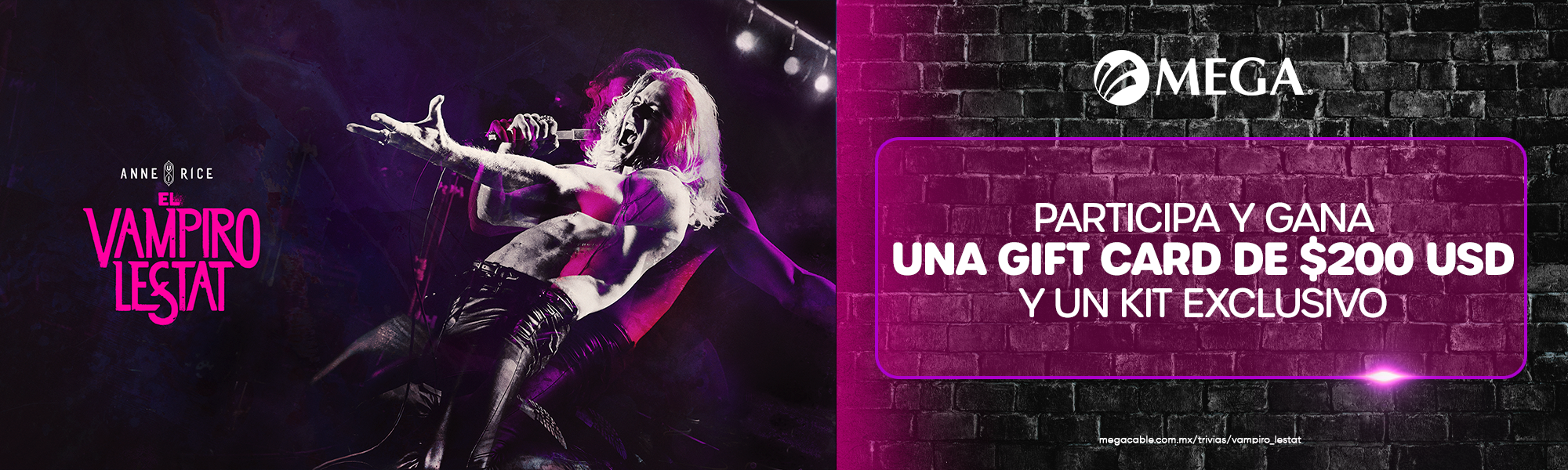 fondo header